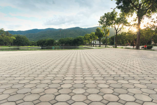 Best Concrete Paver Driveway  in Paddock Lake, WI